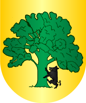 ESCUDO PRECEDENTE